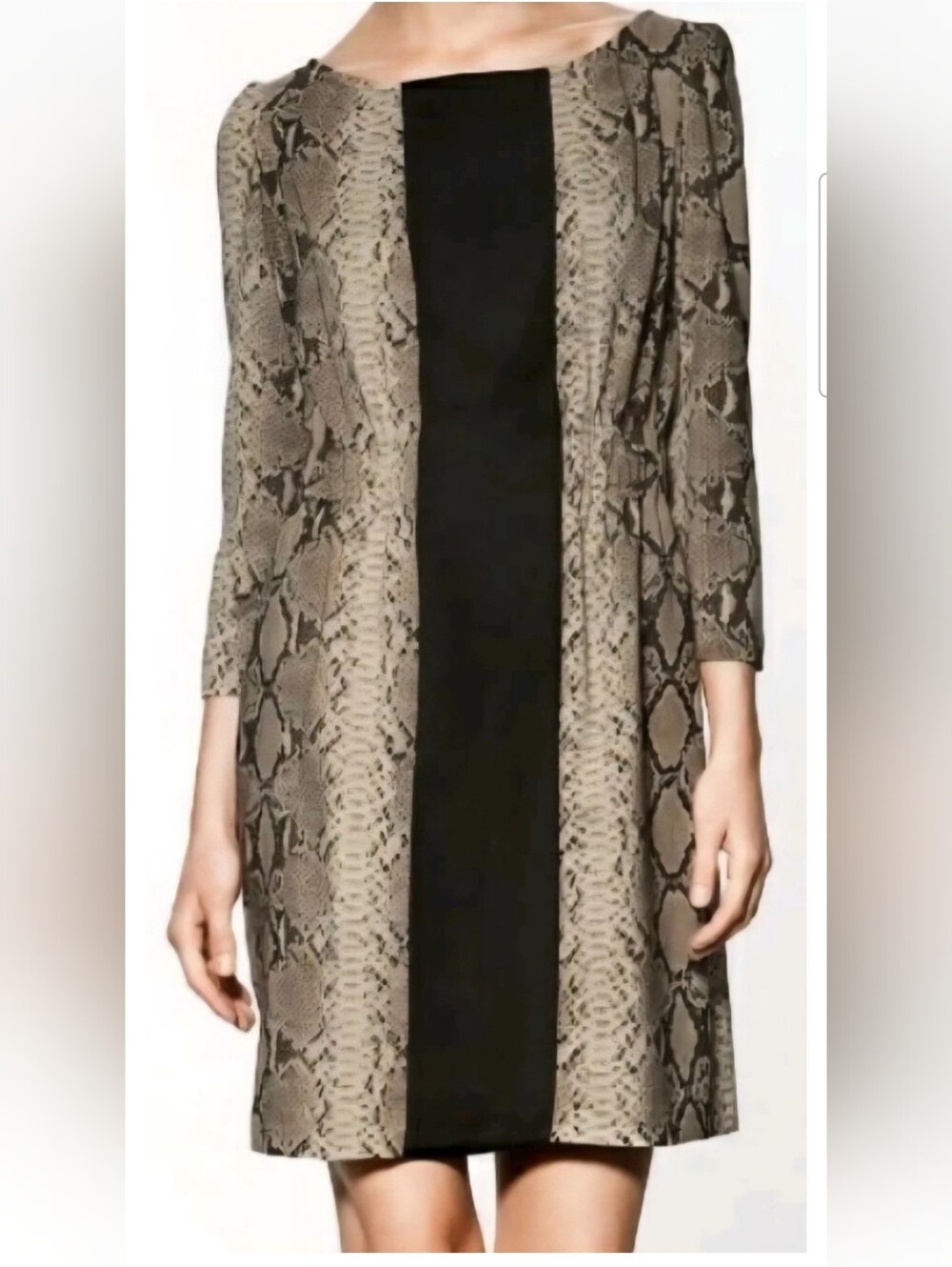 Zara Snake Print Midi Dress Women Tan-Black Sz L 3/4 Sleeves Sheer Mob Wife Luxe